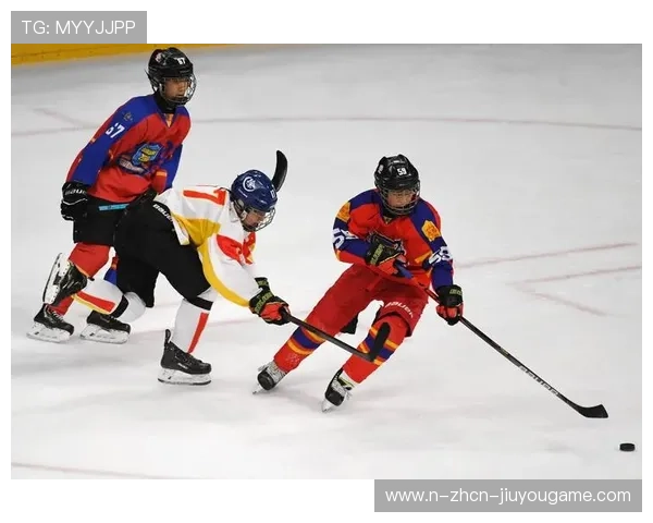 冰球世界杯北美队展现惊人速度与力量，北美冰球职业联赛总决赛